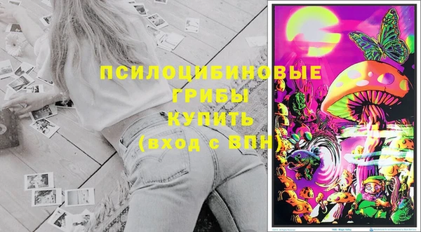 a pvp Няндома