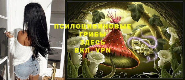 стафф Нягань