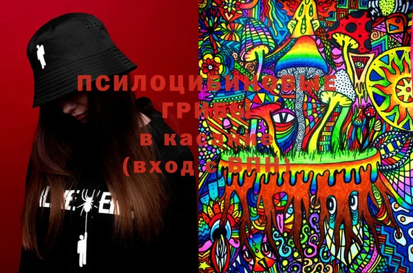 дмт Ленинск-Кузнецкий
