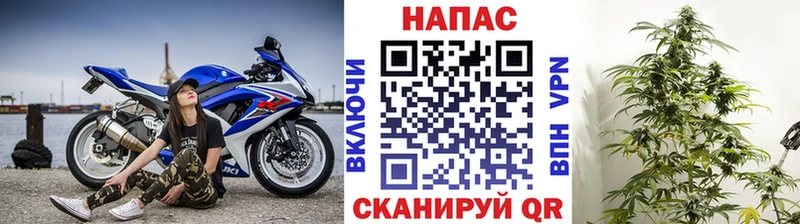 Марихуана White Widow  маркетплейс Telegram  Покров 